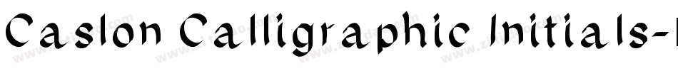 Caslon Calligraphic Initials字体转换